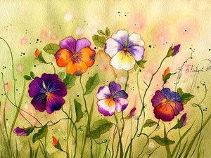 анютины глазки