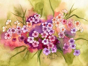 Цветки для чая